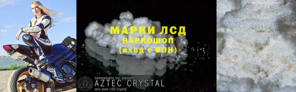 стафф Арсеньев