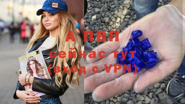 стафф Арсеньев