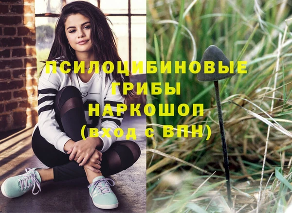 стафф Арсеньев