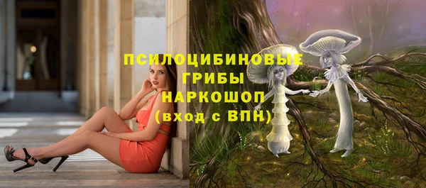 ешки Алагир