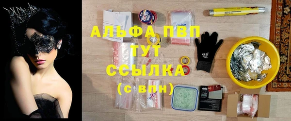 скорость Бердск