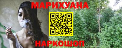крисы Донской