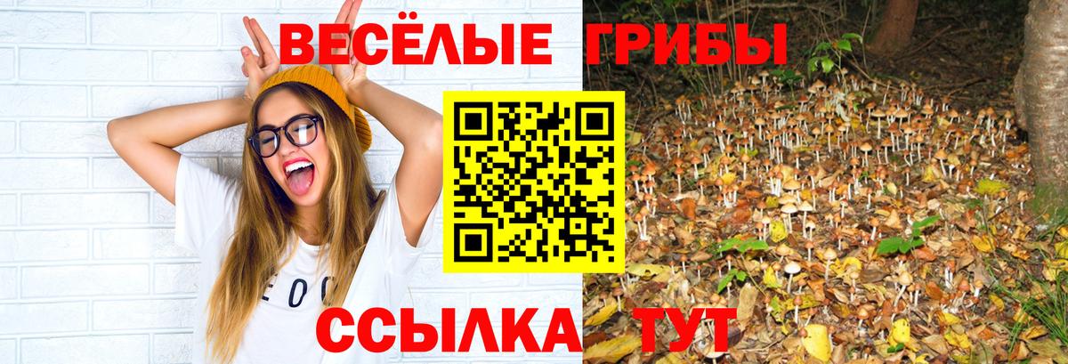 Псилоцибиновые грибы мицелий Биробиджан