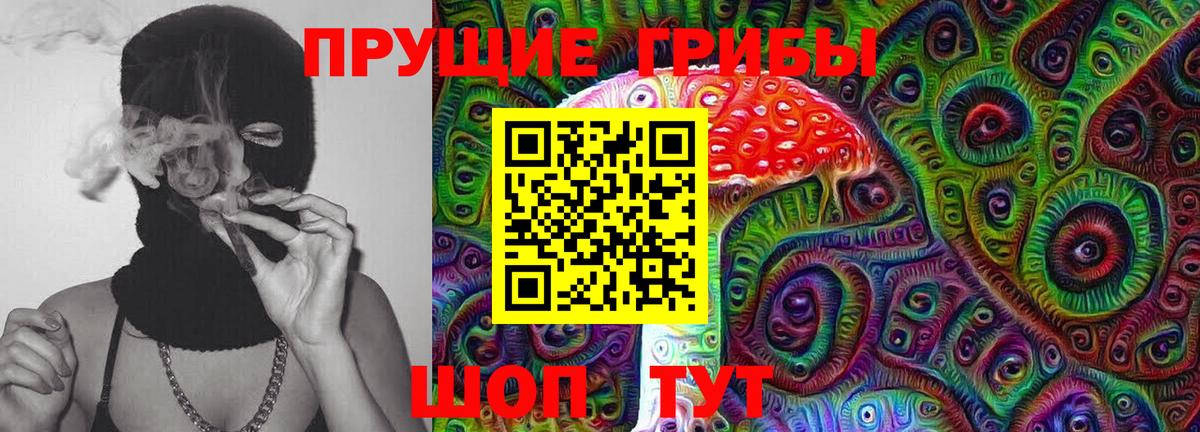 Галлюциногенные грибы Psilocybe Биробиджан