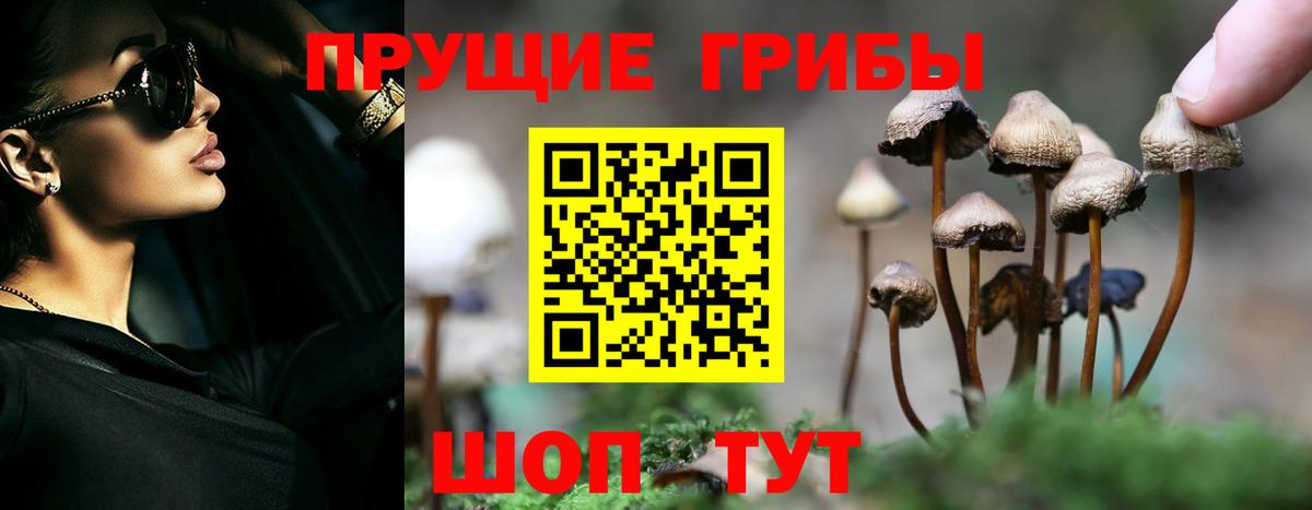 Псилоцибиновые грибы GOLDEN TEACHER  магазин  наркотиков  Биробиджан 
